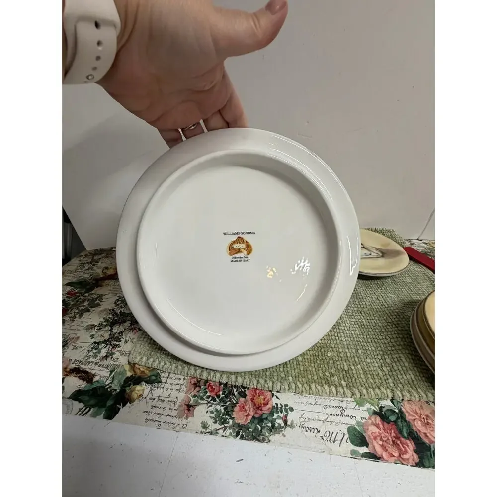 Williams Sonoma Cheese Plate Set 5pc Made In Italy Appetizer Plates